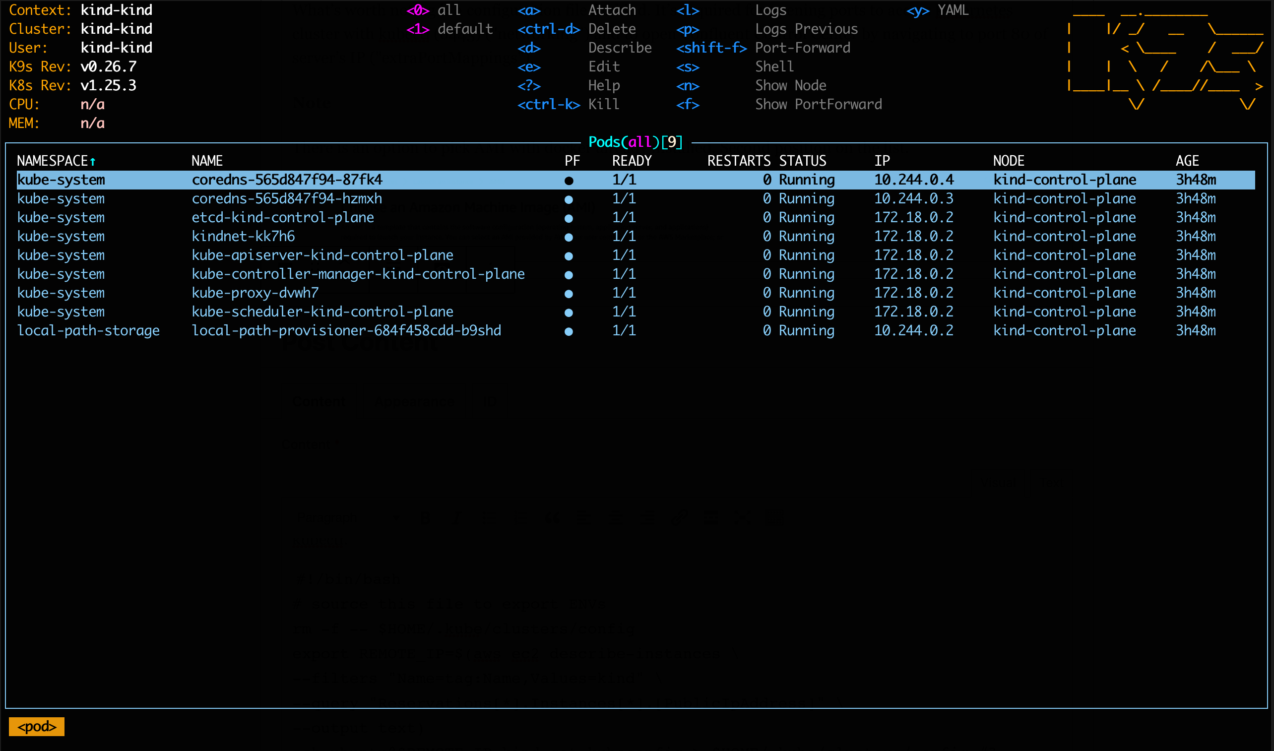 The output on k9s that you may expect to see